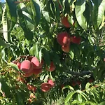 Casa de hóspedes La Casa Di Menny