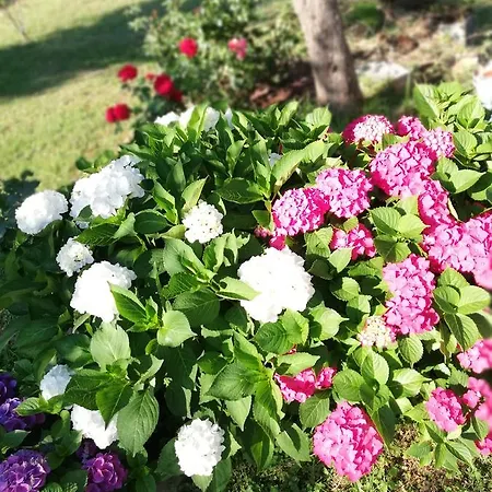 La Casa Di Menny Pensjonat Moneglia