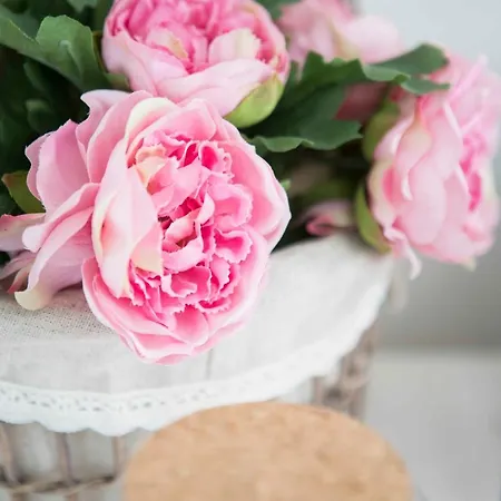 La Casa Di Menny Moneglia