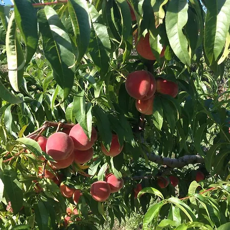 Pensión La Casa Di Menny